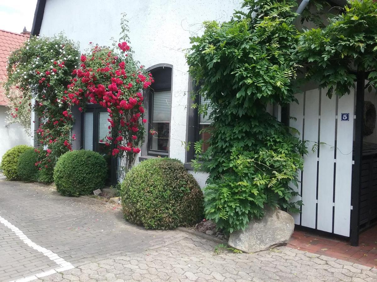 Altstadt-Apartment Petershagen Kültér fotó